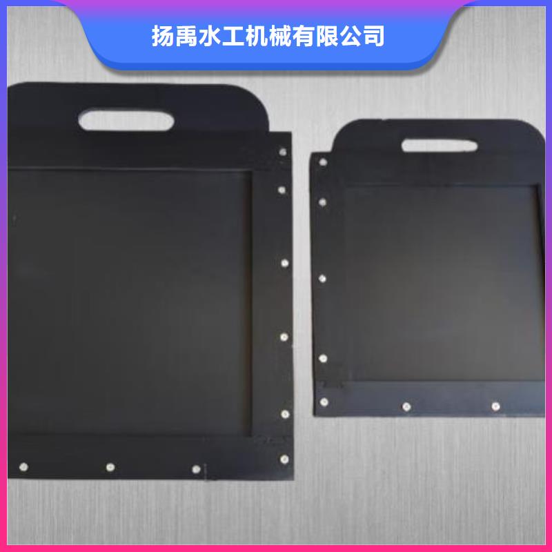 塑料闸门拦污栅可定制
