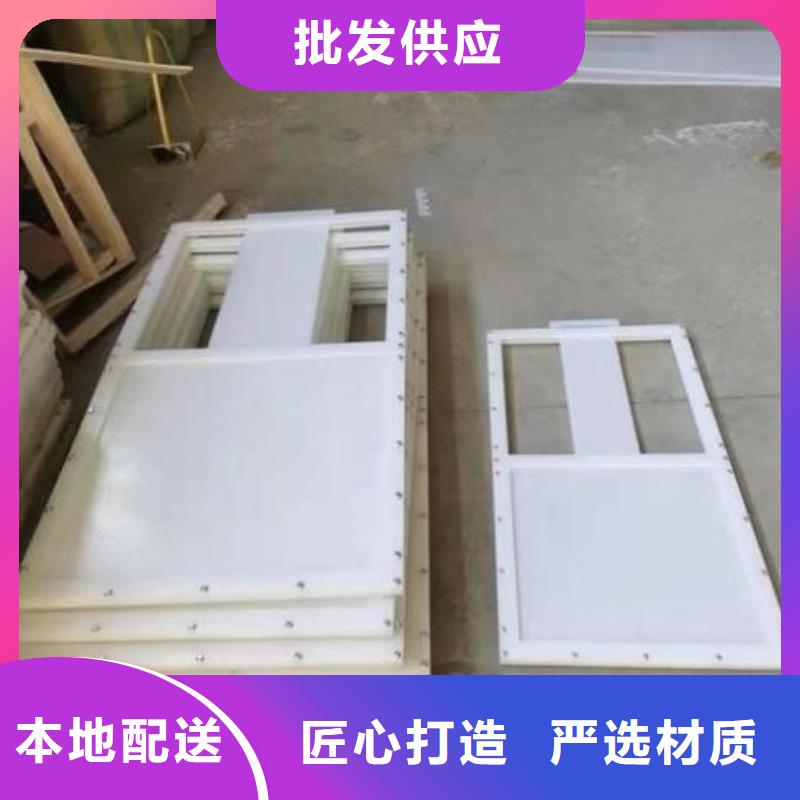塑料闸门发货迅速