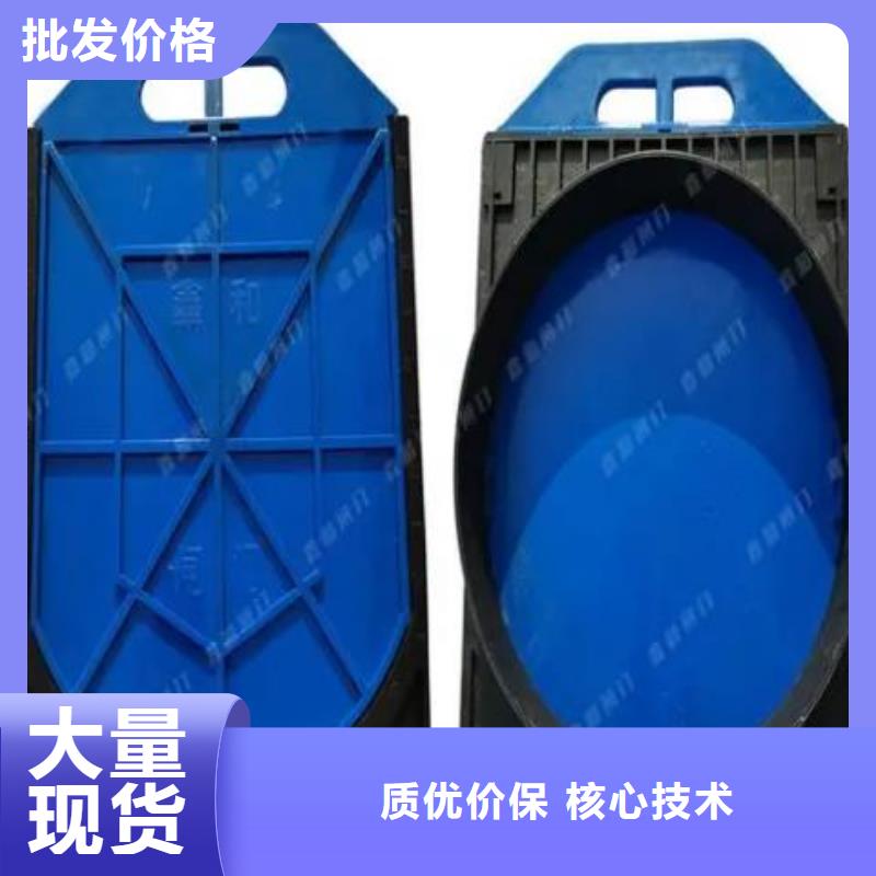 塑料闸门生产经验丰富