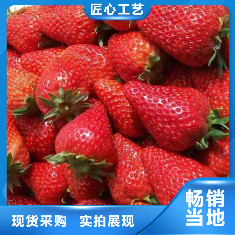 梨树苗视频-梨树苗|北京市|石景山|海淀|延庆|西城