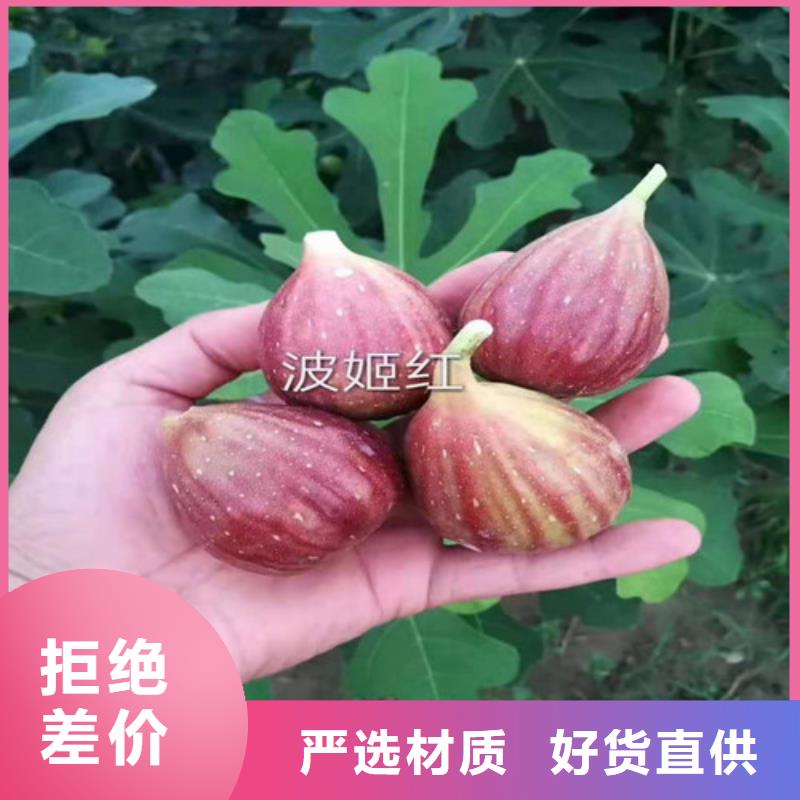 梨树苗视频-梨树苗_西藏林芝市市场覆盖察隅|墨脱|那曲|昌都|山南|阿里|日喀则|拉萨等