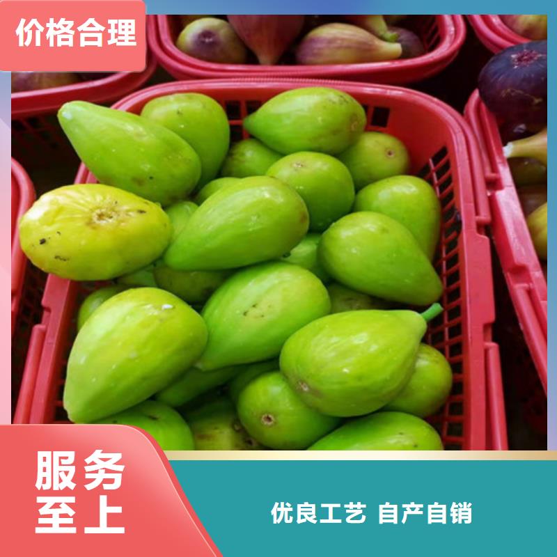 梨树苗视频-梨树苗(兴业)覆盖地域山东省济南市章丘|槐荫|淄博|泰安|潍坊|枣庄|菏泽