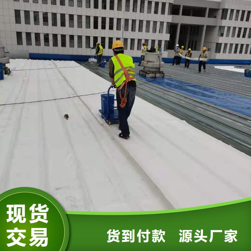 TPOTPO防水卷材源头厂家经验丰富