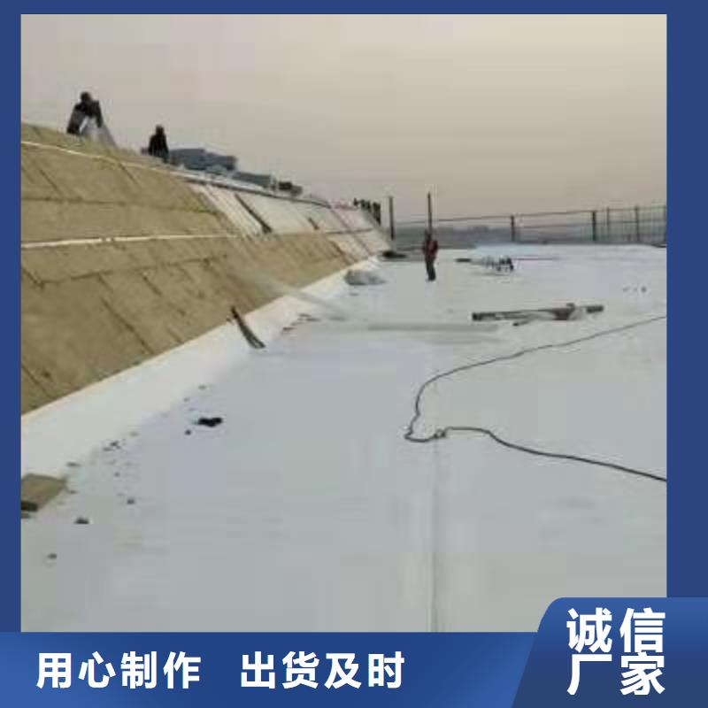 桓禹PVC防水卷材TPO,【PVC防水卷材施工】用品质说话szmyb.com