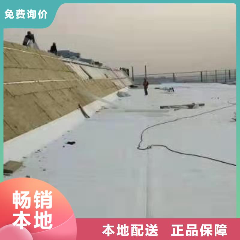 TPOPVC防水卷材真材实料加工定制