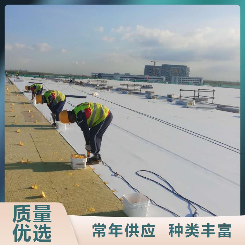 TPO,PVC防水卷材施工队厂家技术完善