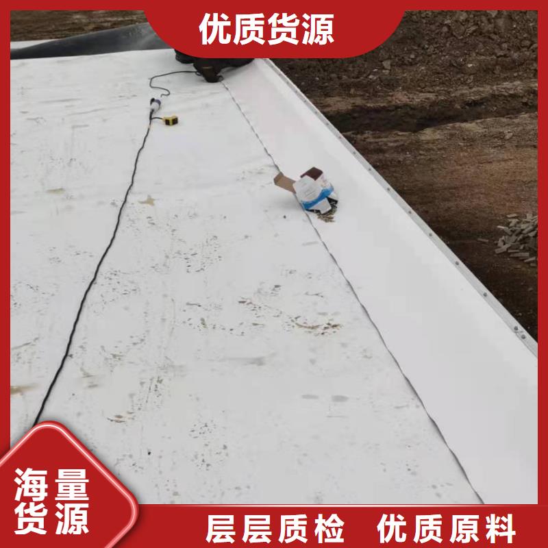 PVCTPO防水卷材厂家货源