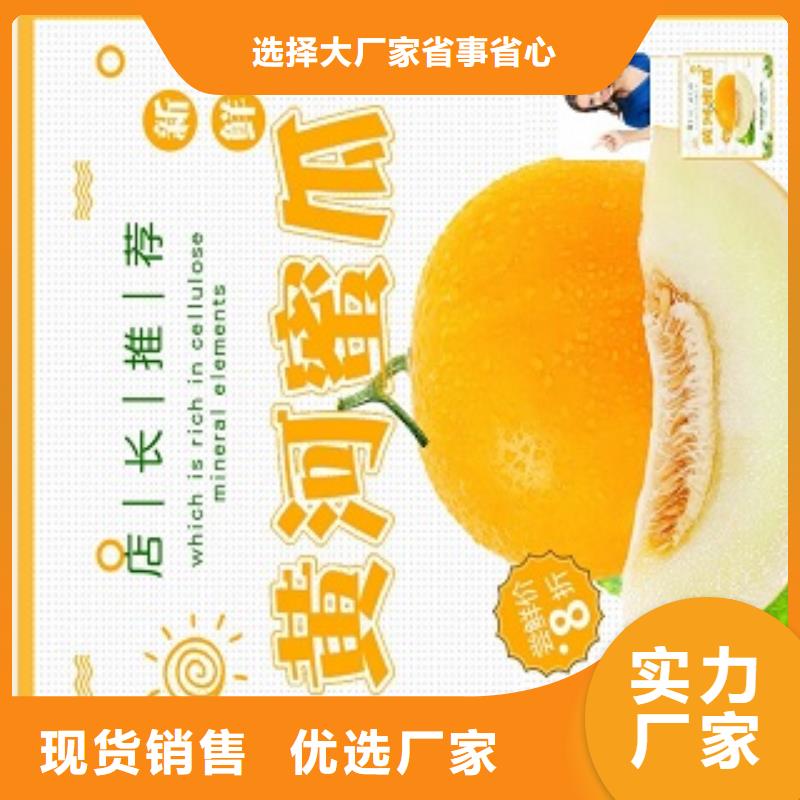 小程序制作【小程序代运营】品质之选|小程序代运营-易码头科技经营部(佳木斯市分公司)