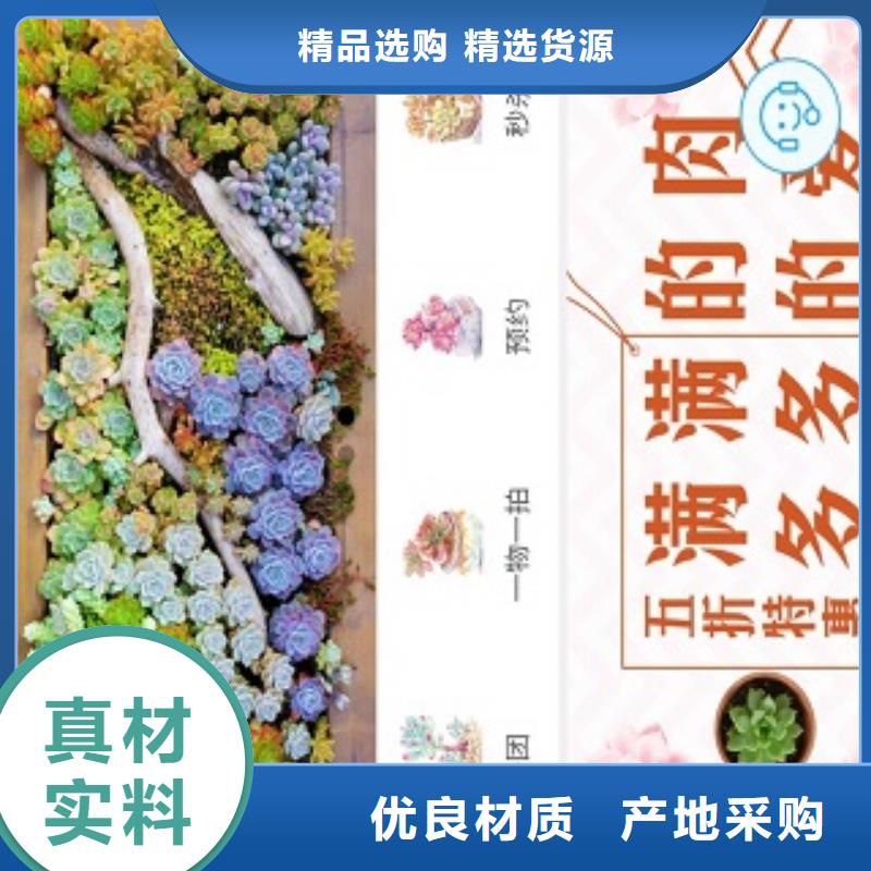 小程序制作小程序开发诚信经营
