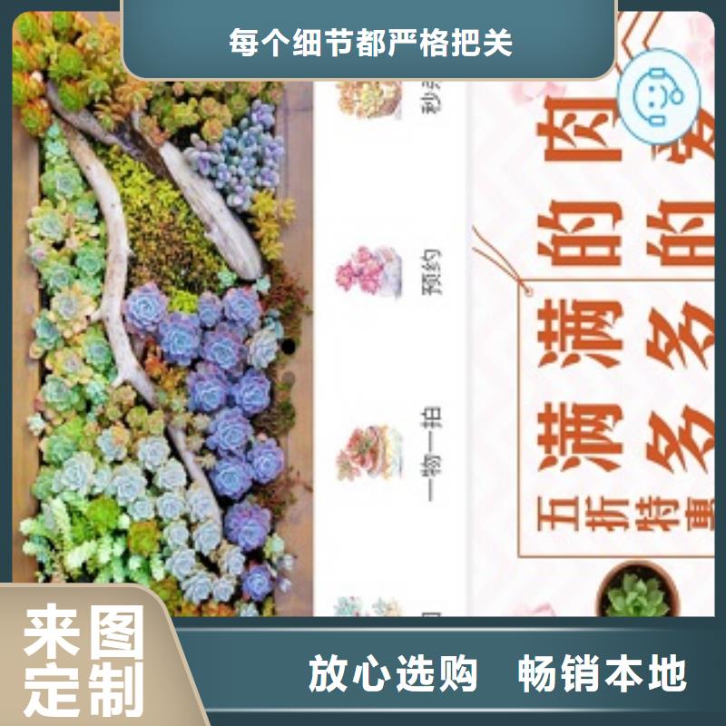 小程序制作,设计小程序可接急单