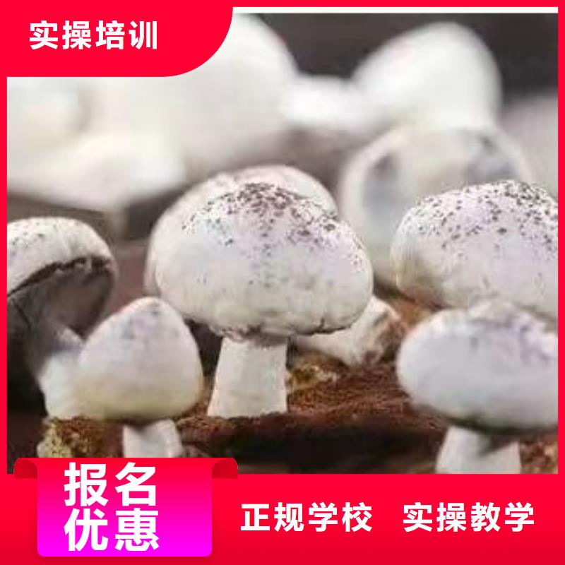 数控车床培训学校视频-数控车床培训学校-虎振技校(凉山市分公司)服务区域美姑|宁南|绵阳|阿坝|眉山|南充