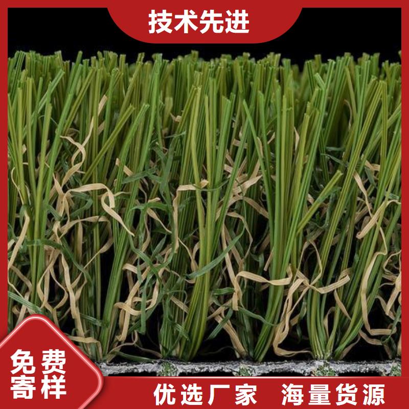 塑胶跑道_塑胶跑道施工一站式厂家