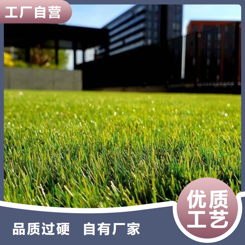塑胶跑道人造草坪批发分类和特点