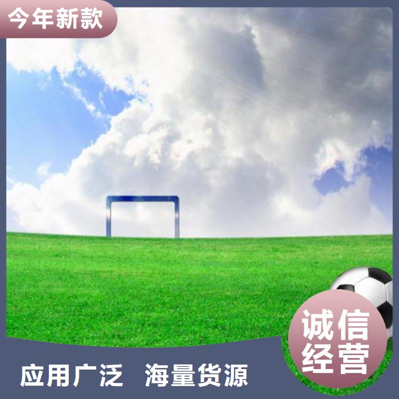 【塑胶跑道】-公园步道品质保证实力见证