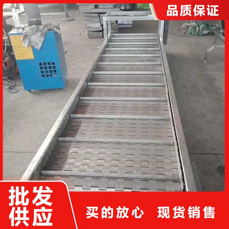 徽县|武都|武威|天水|张掖|酒泉|金昌|庆阳|甘南【链板输送机】,输送带厂家质优价保厂家
