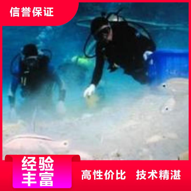 水下作业本地潜水搜索团队方便快捷