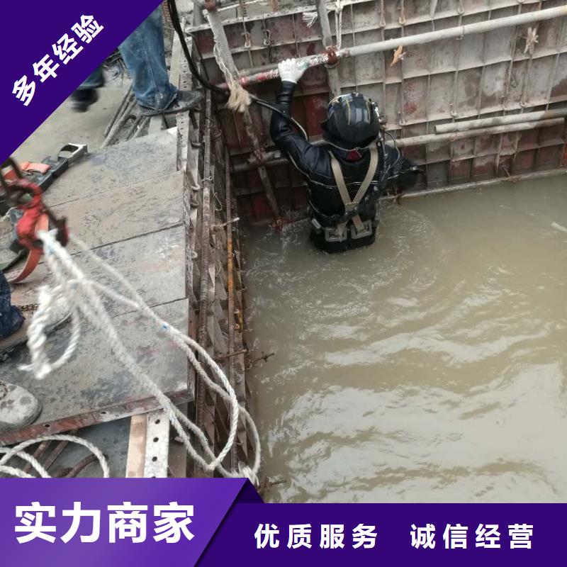 水下作业水下堵漏2025公司精心