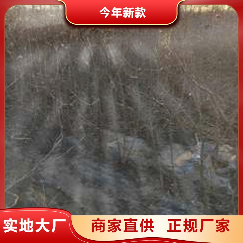 皇冠梨树苗视频-皇冠梨树苗_浙江省衢州市市场覆盖开化|常山|台州|温州|湖州|金华|舟山|嘉兴等