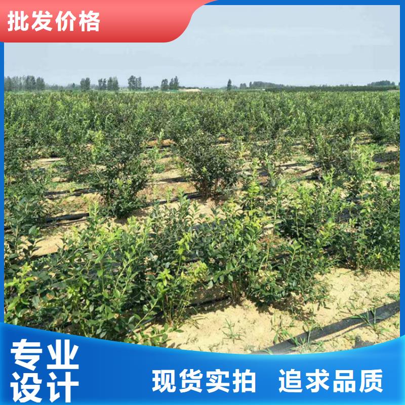 苹果苗视频-苹果苗_海南省海口市市场覆盖龙华|美兰|三亚等