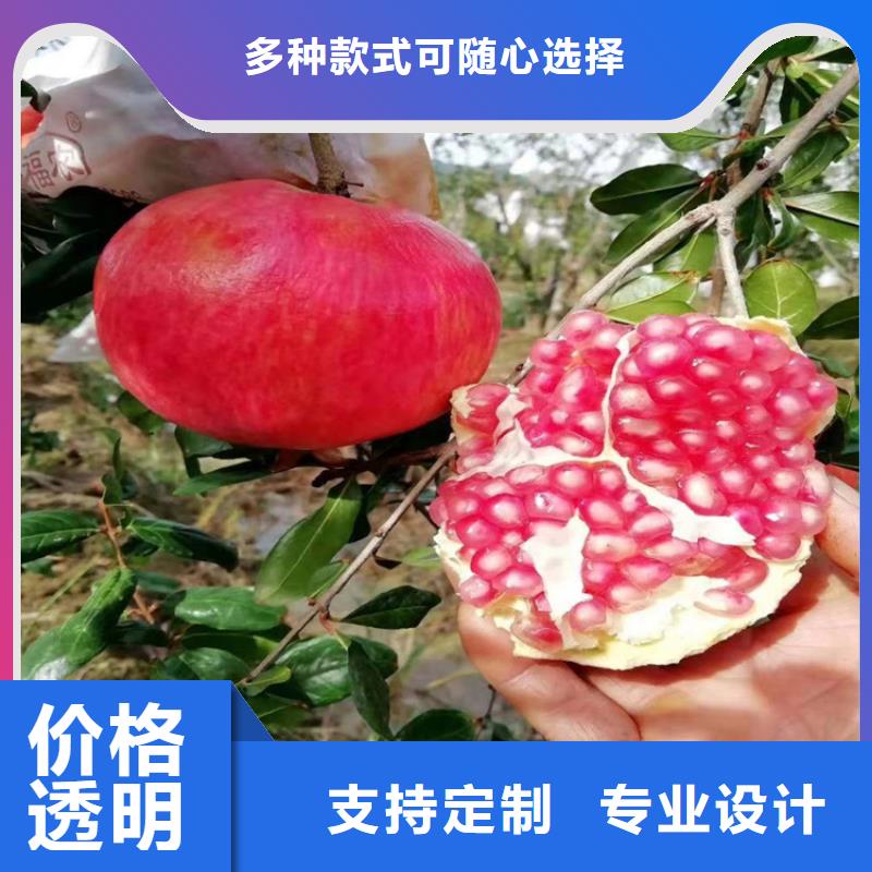 苹果苗视频-衢州市苹果苗-该地可服务区域柯城|江山|舟山|丽水|金华|杭州|温州