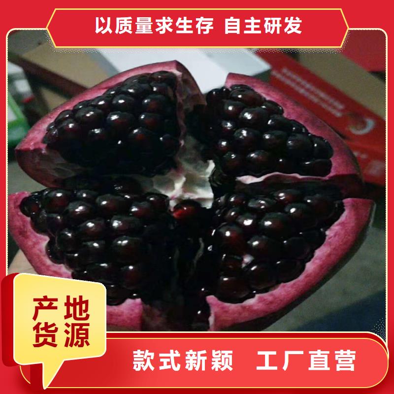 石榴石榴苗0中间商差价