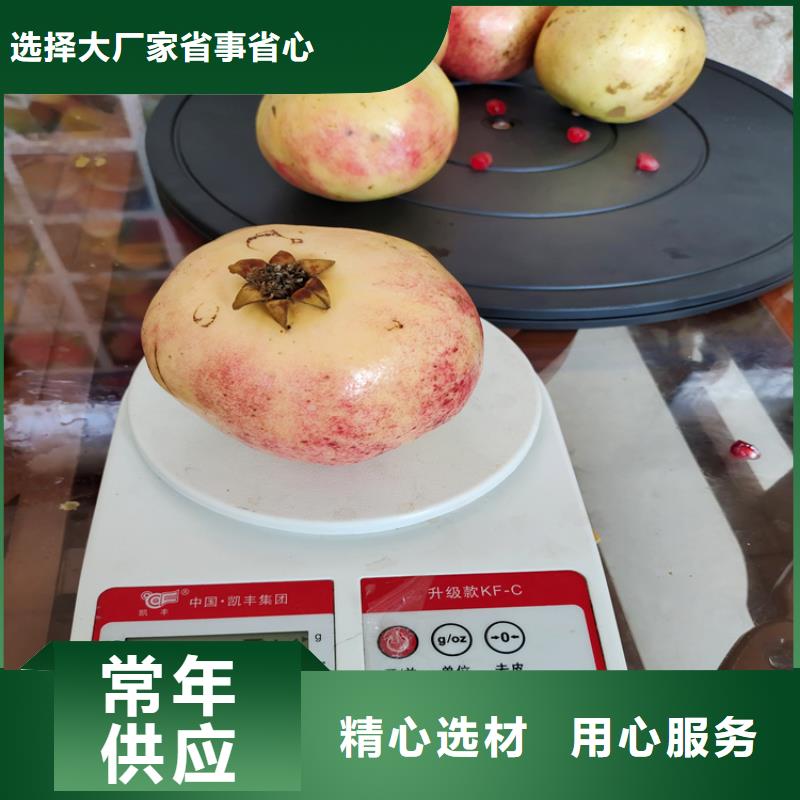 石榴石榴苗0中间商差价