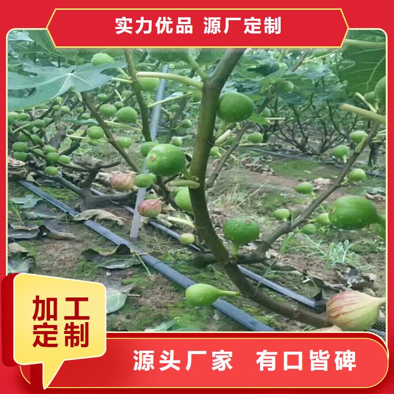 无花果,奶油草莓支持非标定制