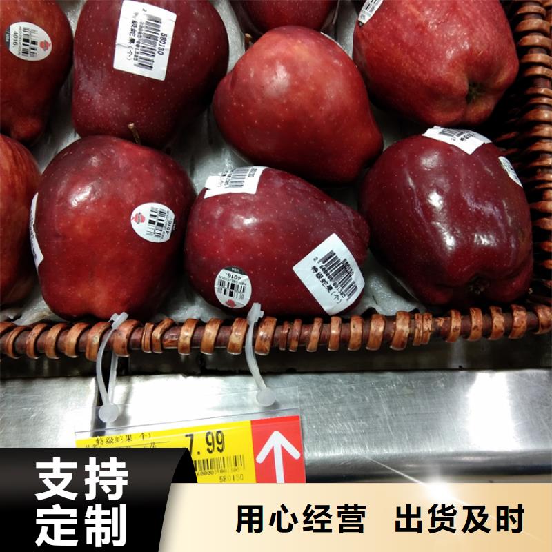 苹果苗视频-山西省太原市轩园苹果苗可服务区域迎泽|尖草坪|阳泉|长治|忻州|吕梁|晋中|朔州|临汾等