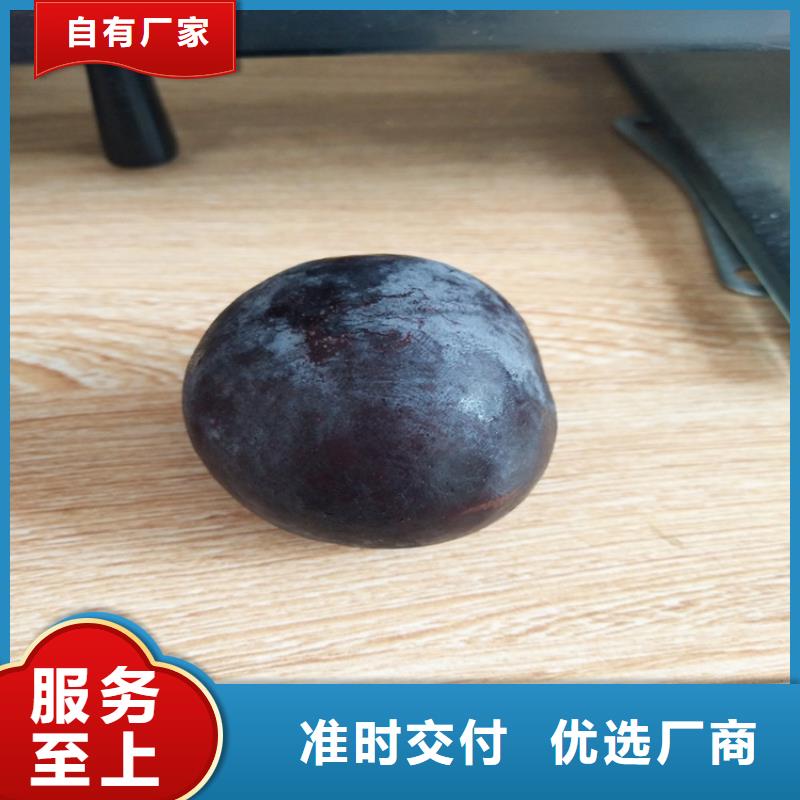 李子 【【蓝莓苗】】质量为本-服务区域包括铜川|安康|咸阳|西安|汉中|商洛|宝鸡等-产品视频