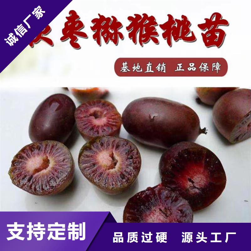 苹果苗视频-苹果苗_青海省海北市市场覆盖果洛|海东|玉树|黄南|西宁|海南|海西等
