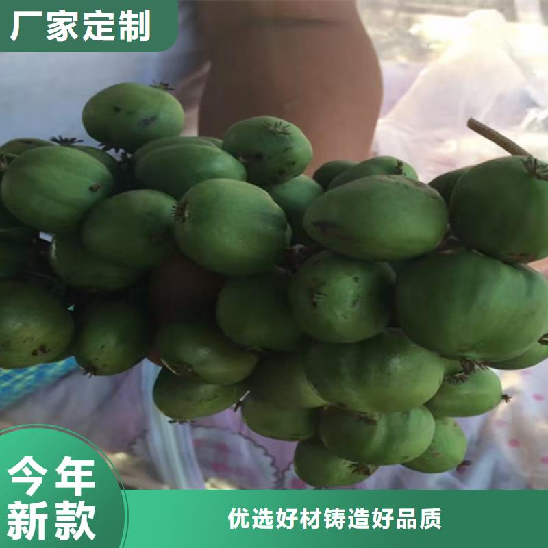 苹果苗视频-苹果苗_青海省海北市市场覆盖果洛|海东|玉树|黄南|西宁|海南|海西等
