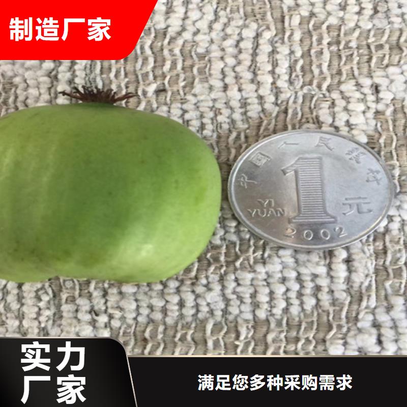 猕猴桃樱桃苗自营品质有保障