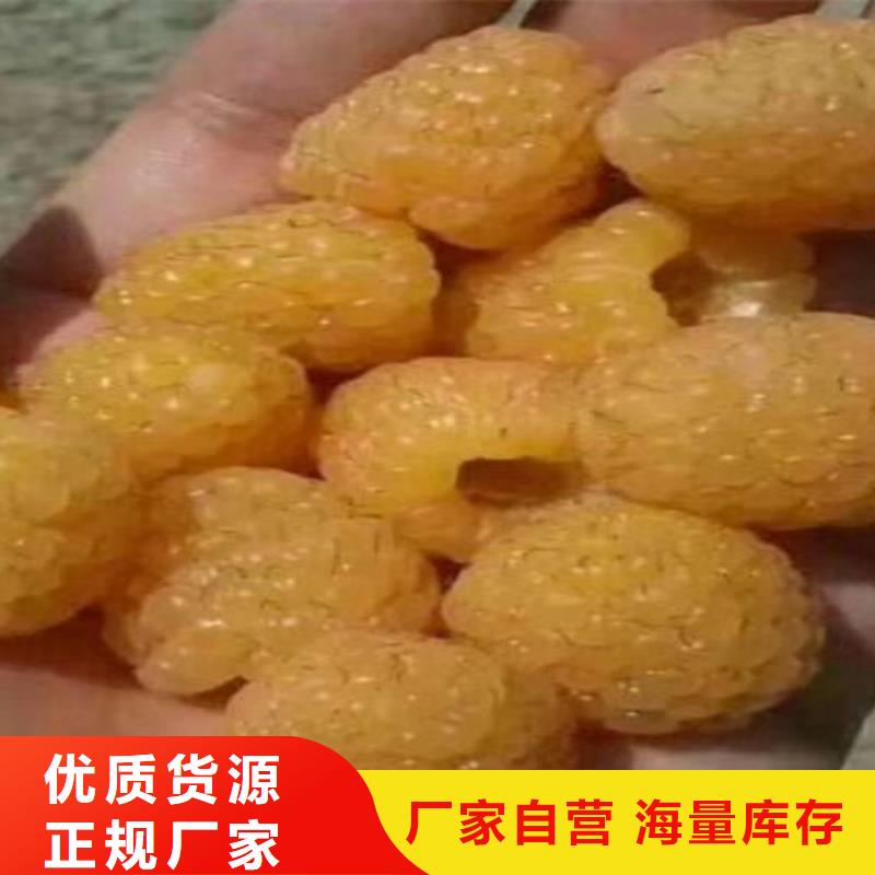 树莓,板栗苗全品类现货