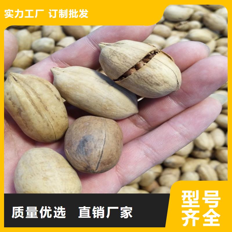 苹果苗视频-江西省苹果苗-本地可服务区域抚州|上饶|新余|萍乡|南昌