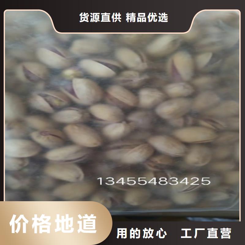 苹果苗视频-中阳|岚县|晋城|临汾|忻州|太原|大同|阳泉|朔州苹果苗层层质检-轩园园艺场(吕梁市分公司)