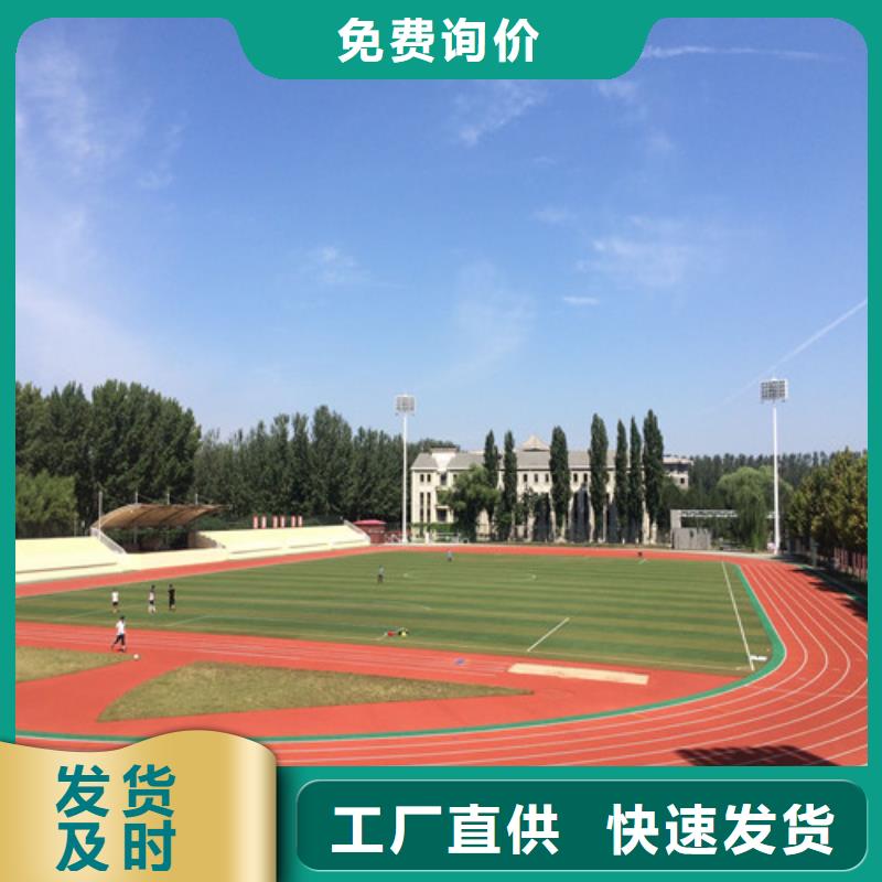 塑胶跑道 人造草坪定金锁价