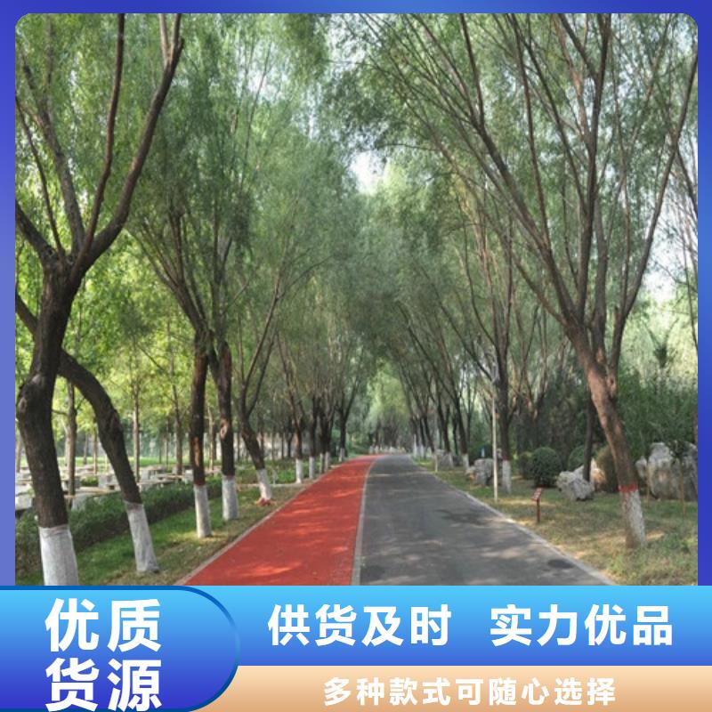 塑胶球场视频-平凉市塑胶球场-本地可服务区域静宁|华亭|张掖|酒泉|天水|定西
