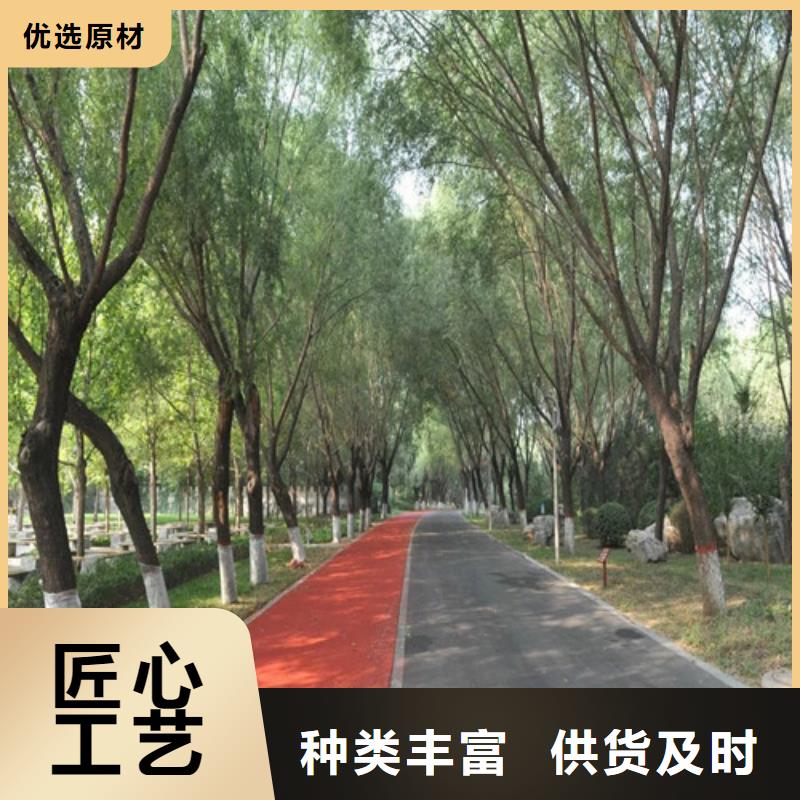 健身步道_人造草坪现货采购