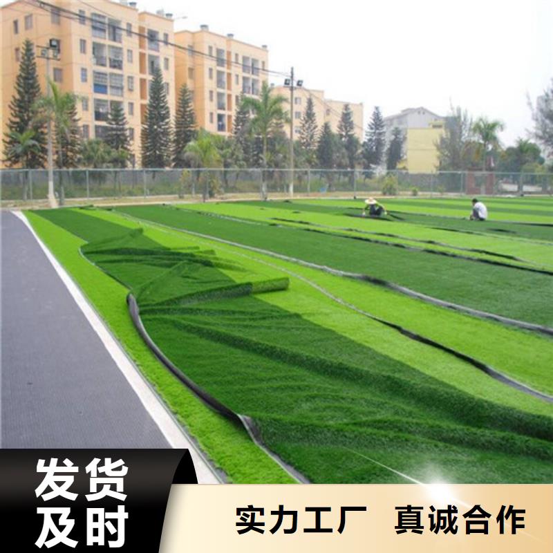 人造草坪_健身步道一件也发货