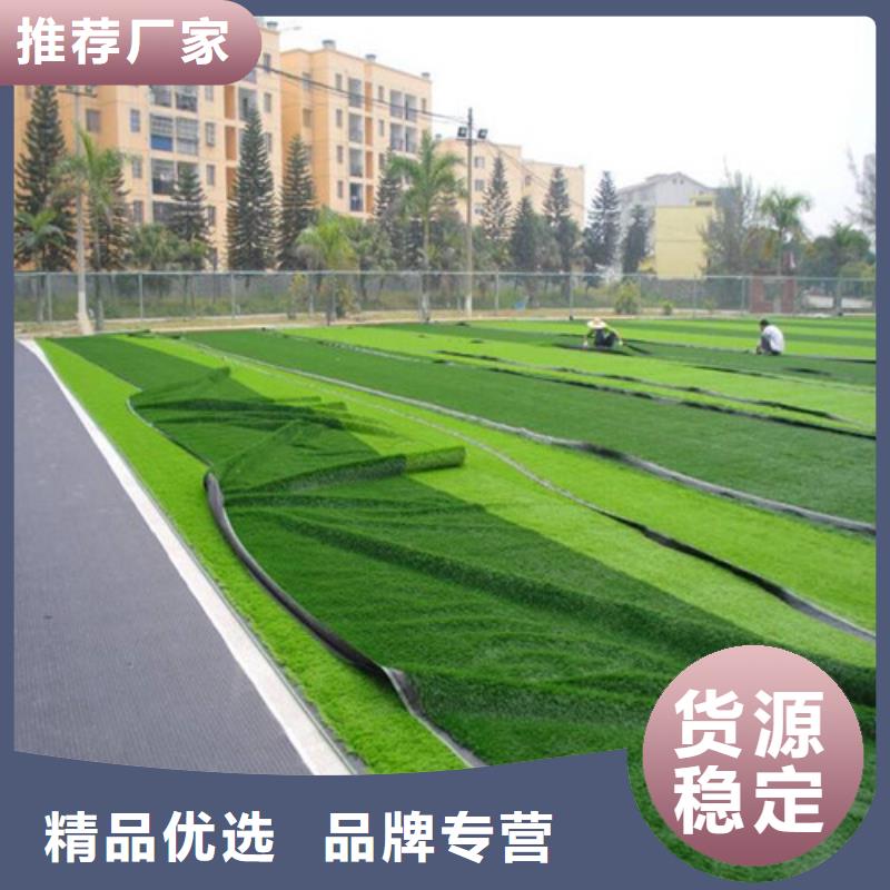 人造草坪 epdm塑胶颗粒适用范围广