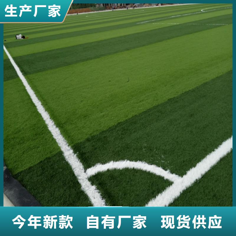 人造草坪,塑胶跑道应用广泛