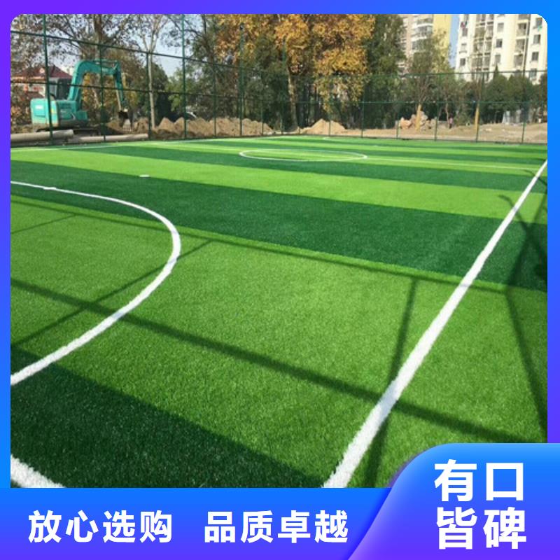 塑胶球场视频-塑胶球场|云南省楚雄市|元谋|永仁|大理|怒江|德宏|红河