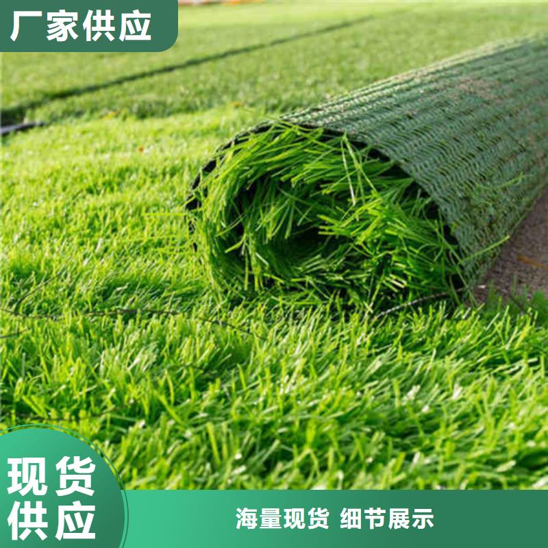 塑胶球场视频-塑胶球场|广西省崇左市|天等|扶绥|百色|北海|贵港|来宾|玉林