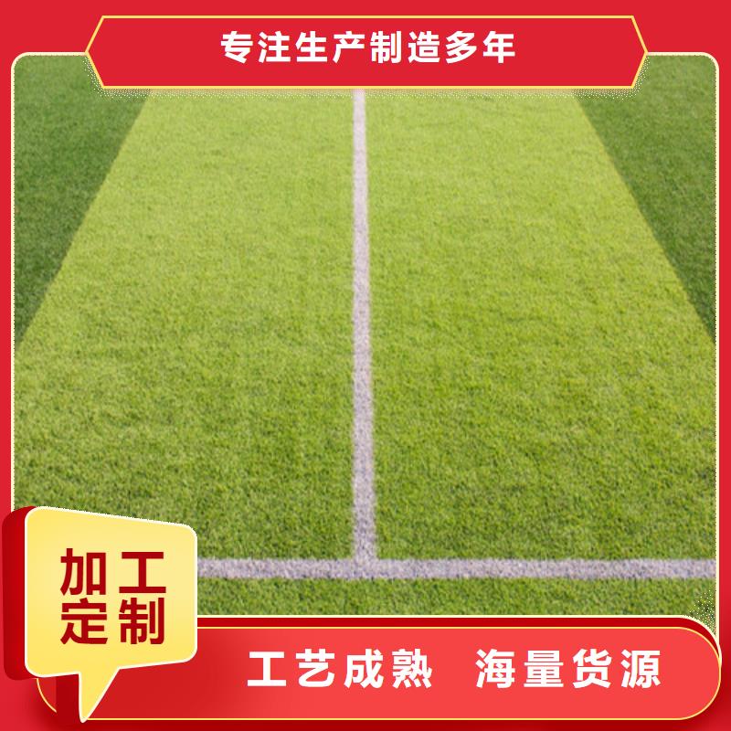 塑胶球场视频-塑胶球场|广西省崇左市|天等|扶绥|百色|北海|贵港|来宾|玉林