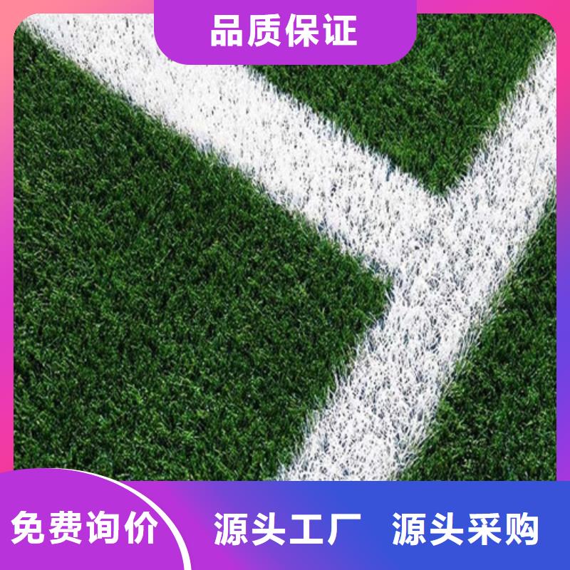 人造草坪_塑胶跑道精工细致打造