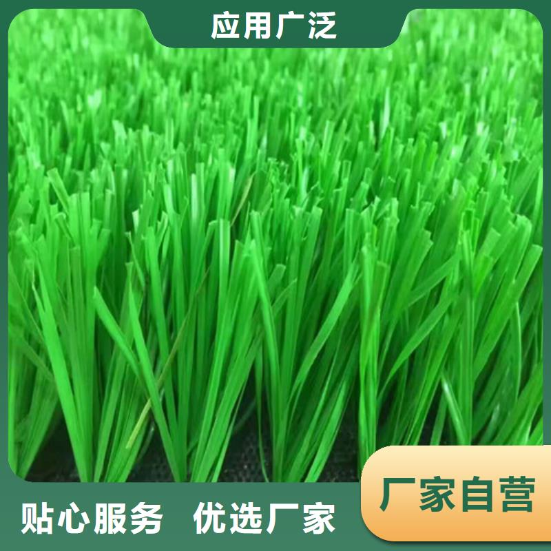 塑胶球场视频-云南省楚雄市|南华|元谋|大理|临沧|保山|昭通|怒江|普洱|玉溪塑胶球场-百锐