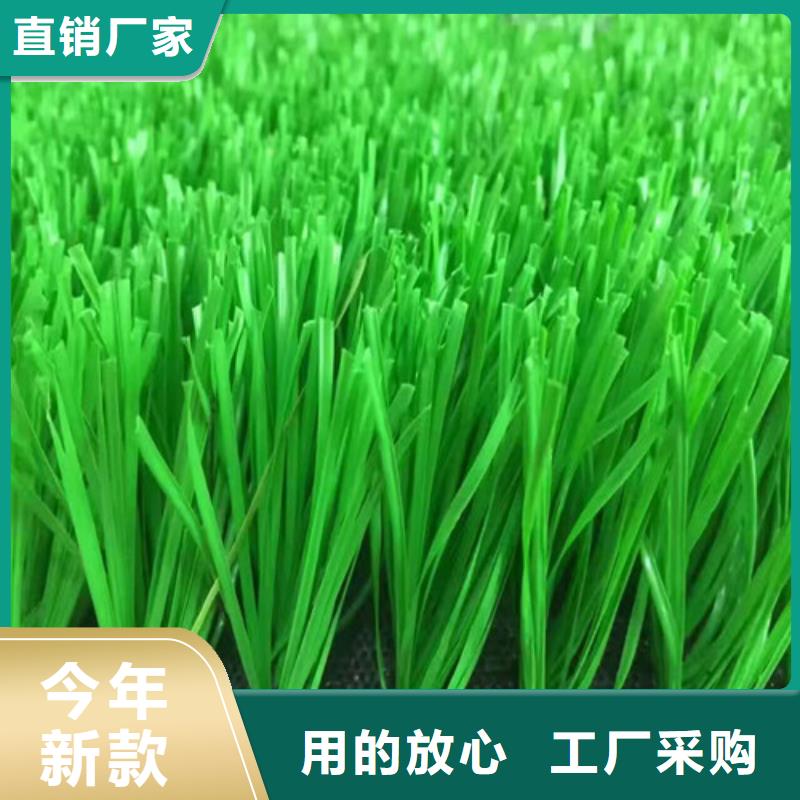 人造草坪epdm幼儿园橡胶跑道品质保证