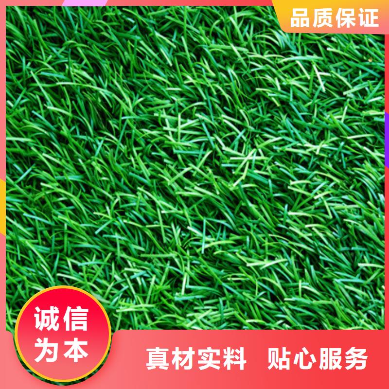 人造草坪塑胶跑道核心技术