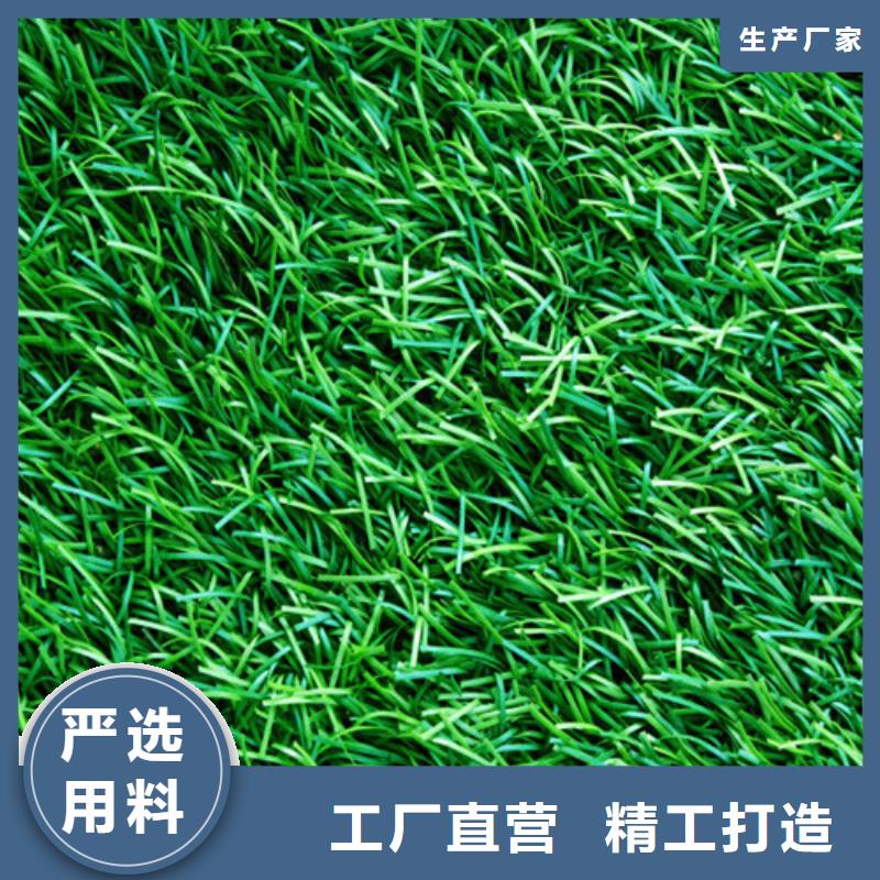 人造草坪幼儿园地坪好货直销
