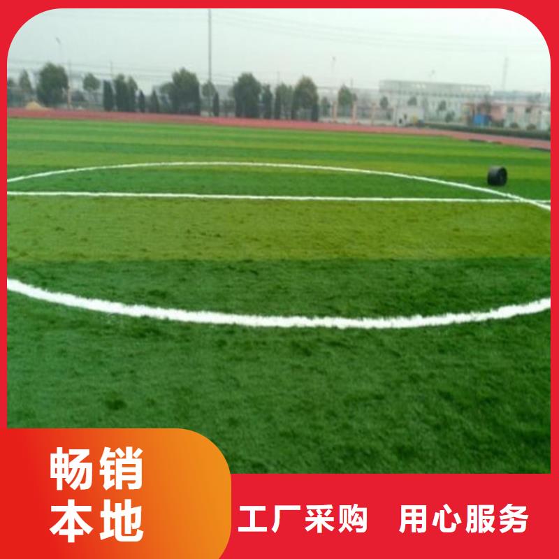 人造草坪高密度人造草坪专注产品质量与服务